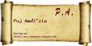 Puj Amázia névjegykártya